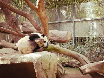 Vacation Apartment for 6 Guests in Hillcrest, San Diego, Picture 2