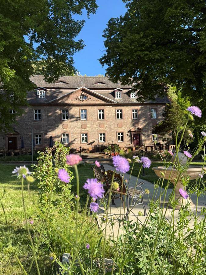 Ganze Wohnung, Schloss Zingst in Querfurt, Saale-Unstrut