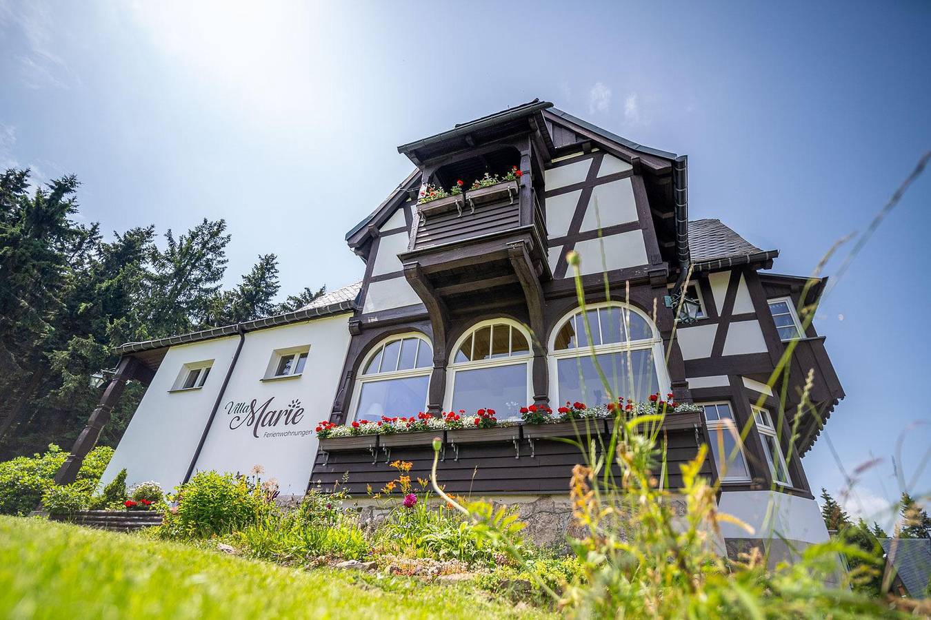 Ganze Ferienwohnung, Ferienwohnung Schwalbennest in Altenberg, Osterzgebirge