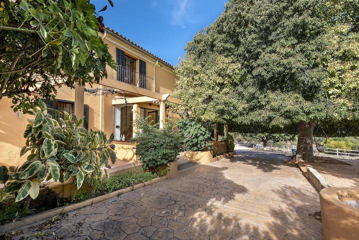 Finca mit Hund für 10 Personen, mit Haustier in Palma - 2