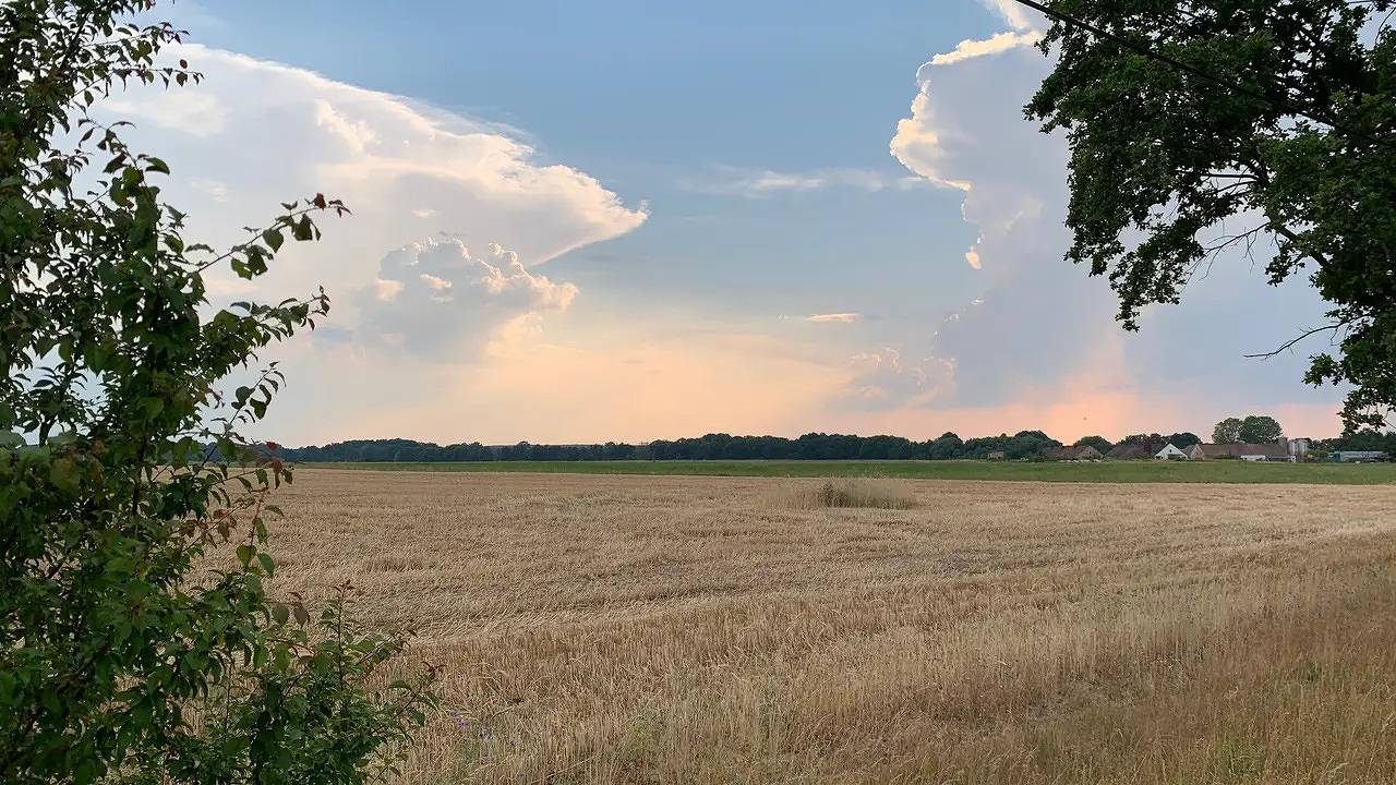 Ganze Ferienwohnung, Ferienwohnung für 5 Personen (89 m²) in Vetschau in Vetschau, Oberspreewald-Lausitz