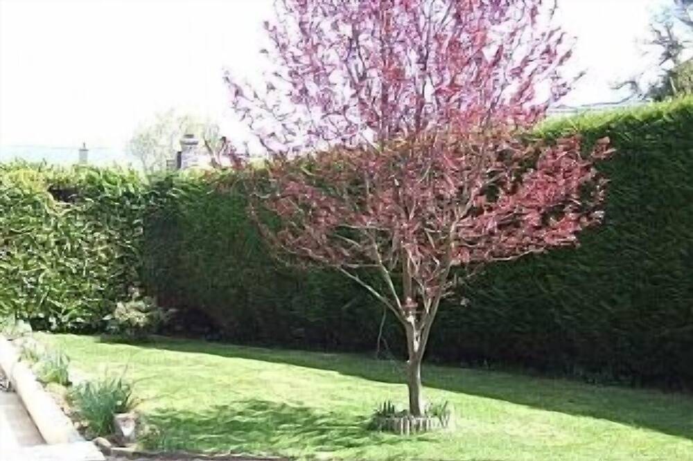Spacieux Cottage pour 5 personnes, et bien équipées salle de jeux jardin ensoleillé in Sourdeval-les-Bois, Région de Coutances