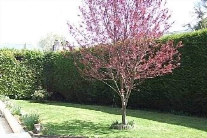 Gîte pour 5 personnes, avec jardin et terrasse