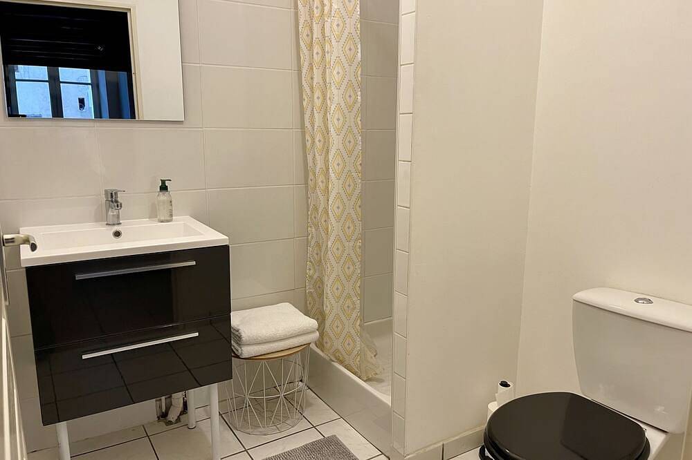 Apartamento entero, Le Cadet Roussel-Apartamento-Club-Baño privado con ducha-Vista a la Ciudad in Auxerre, Auxerre region