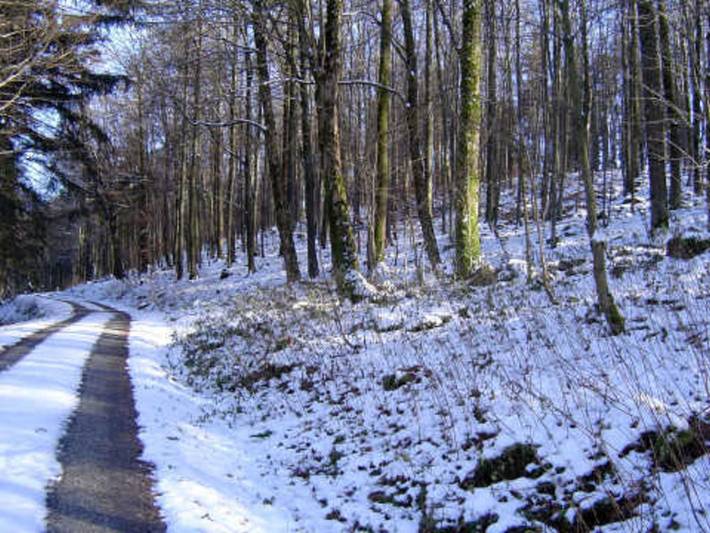 Ferienhaus für 6 Personen, mit Garten, kinderfreundlich an der Rhön - 3