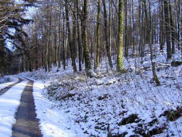 Ferienhaus für 6 Personen in Oberweid, Thüringische Rhön, Bild 2