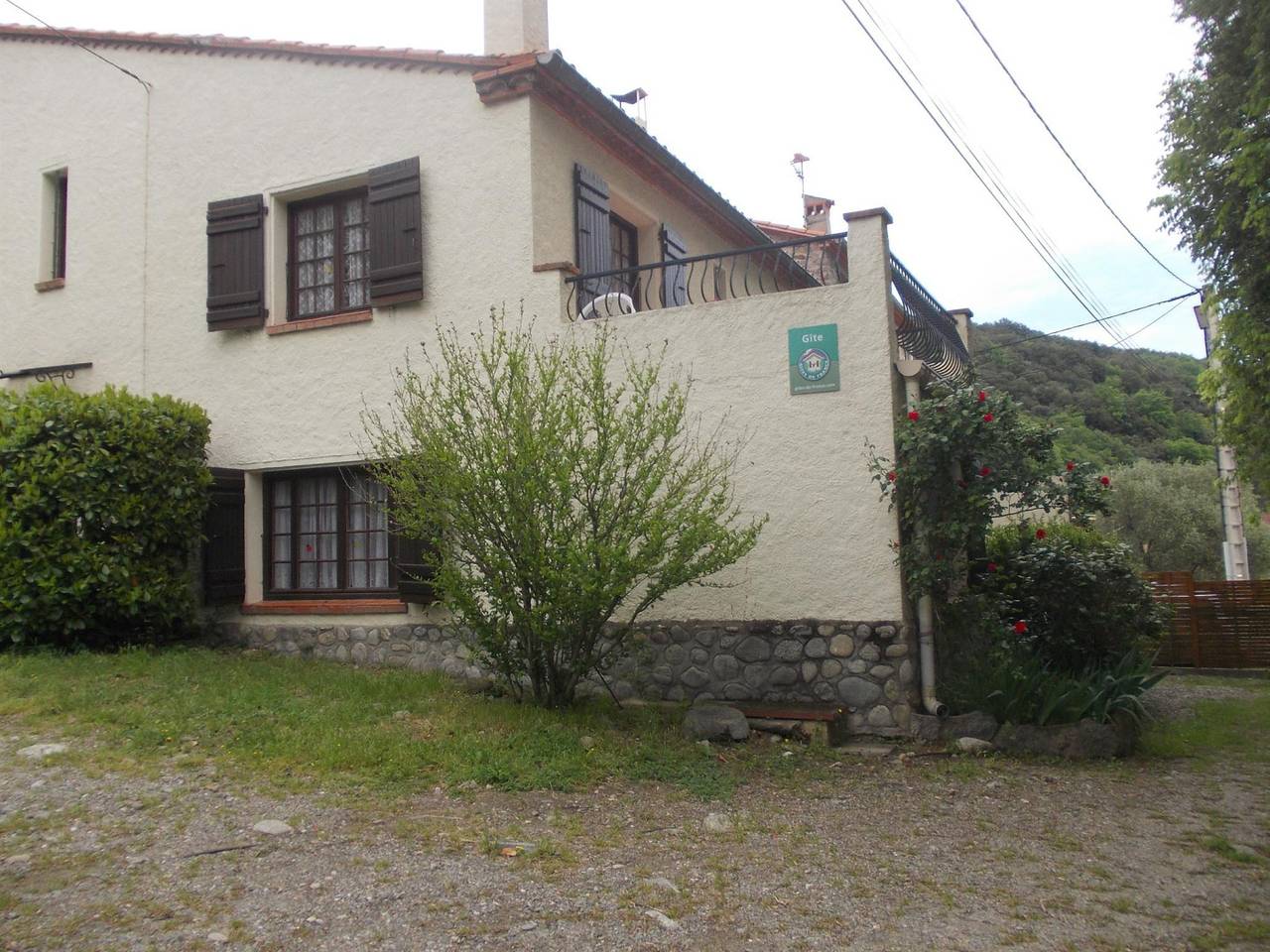 Les micocouliers in Amélie-les-Bains-Palalda, Région de Céret