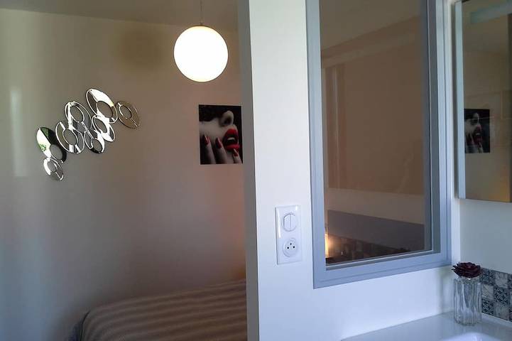 Gîte pour 4 personnes, avec terrasse et jardin à Échiré - 3