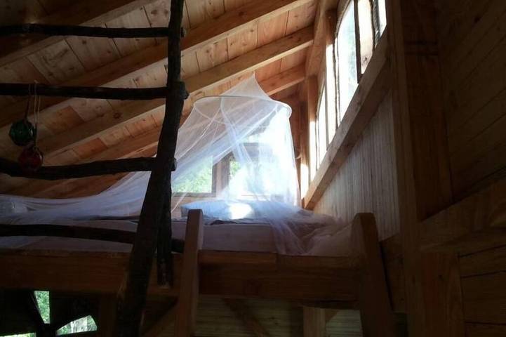 Cabane du pêcheur : cabane dans les arbres de charme avec Spa en bords de Loire in La Chapelle-aux-Naux, Vallée de la Loire