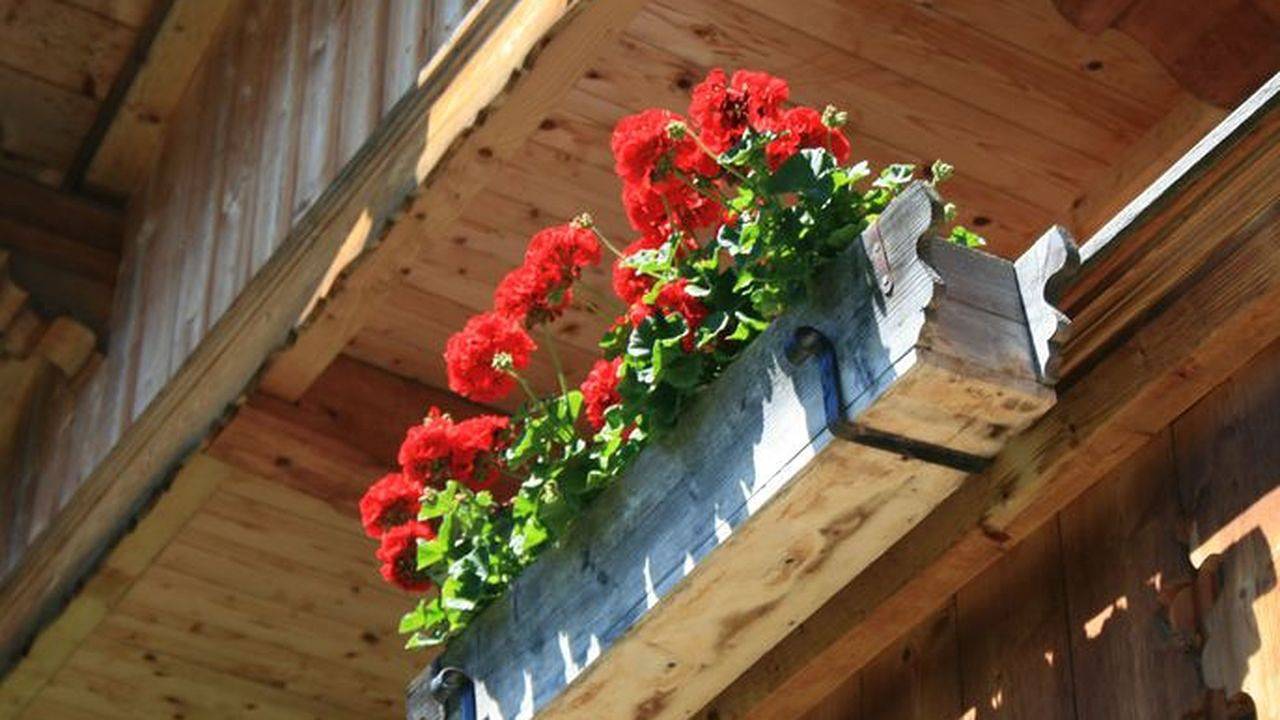 Entire holiday apartment, Ferienwohnung für 2 Personen (28 m²) in Rottach-Egern in Rottach-Egern, Bavarian Alps