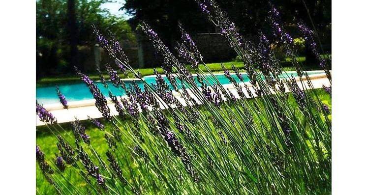 Double Room with Private External Bathroom in Marsillargues, Côte méditerranéenne (France)