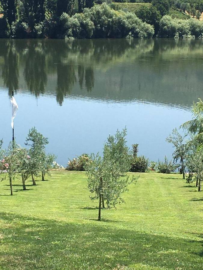 Casa de férias para 7 pessoas, com piscina e vista e ainda jardim, com animais de estimação em Peso da Régua