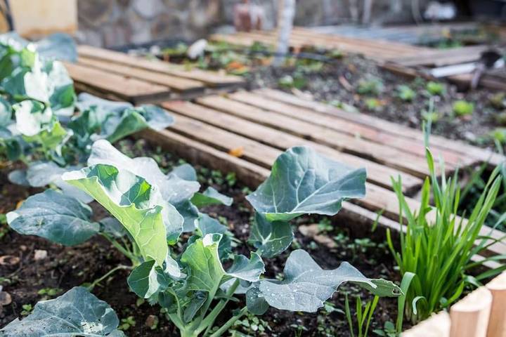 Location de vacances pour 4 personnes, avec piscine ainsi que vue et jardin, animaux acceptés à La Zubia - 3