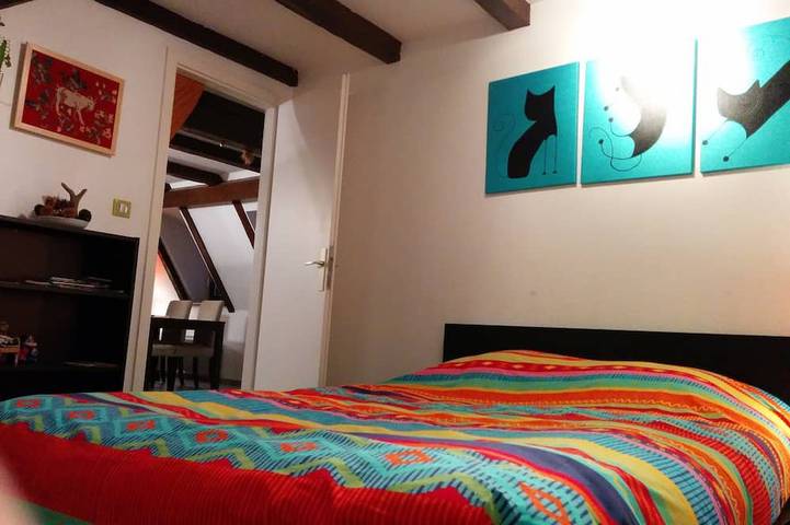 Apartamento entero, Duplex con encanto cerca de la catedral in Estrasburgo, Región de Estrasburgo