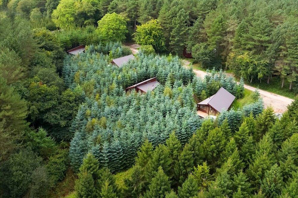 Delamere Forest Golden Oak 2 doubles and 1 twin in Delamere, Cheshire West and Chester