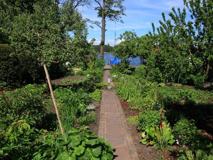 Ferienwohnung für 4 Personen, mit Seeblick und Garten sowie Ausblick in Mirow - 3