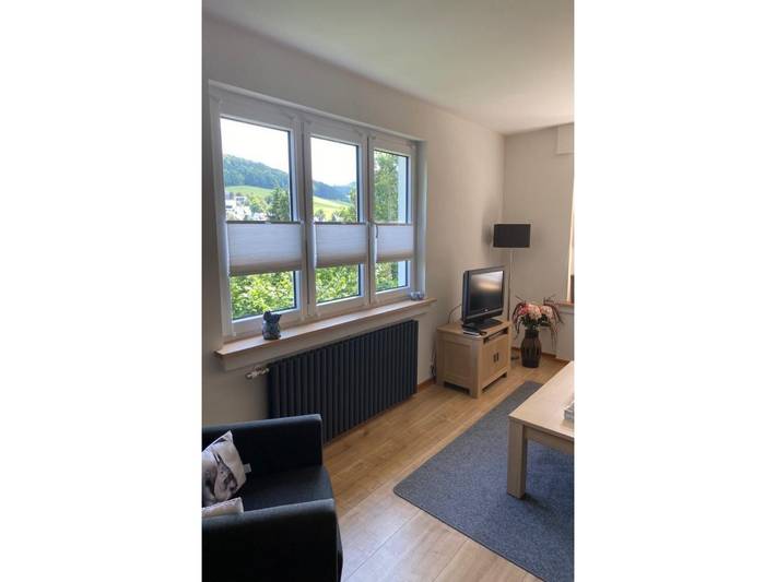Ferienhaus für 6 Personen, mit Terrasse und Garten sowie Sauna in Winterberg - 4
