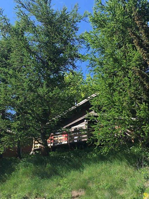 Chalet Le Blij / Centre Station La Foux in La Foux d'Allos, Allos