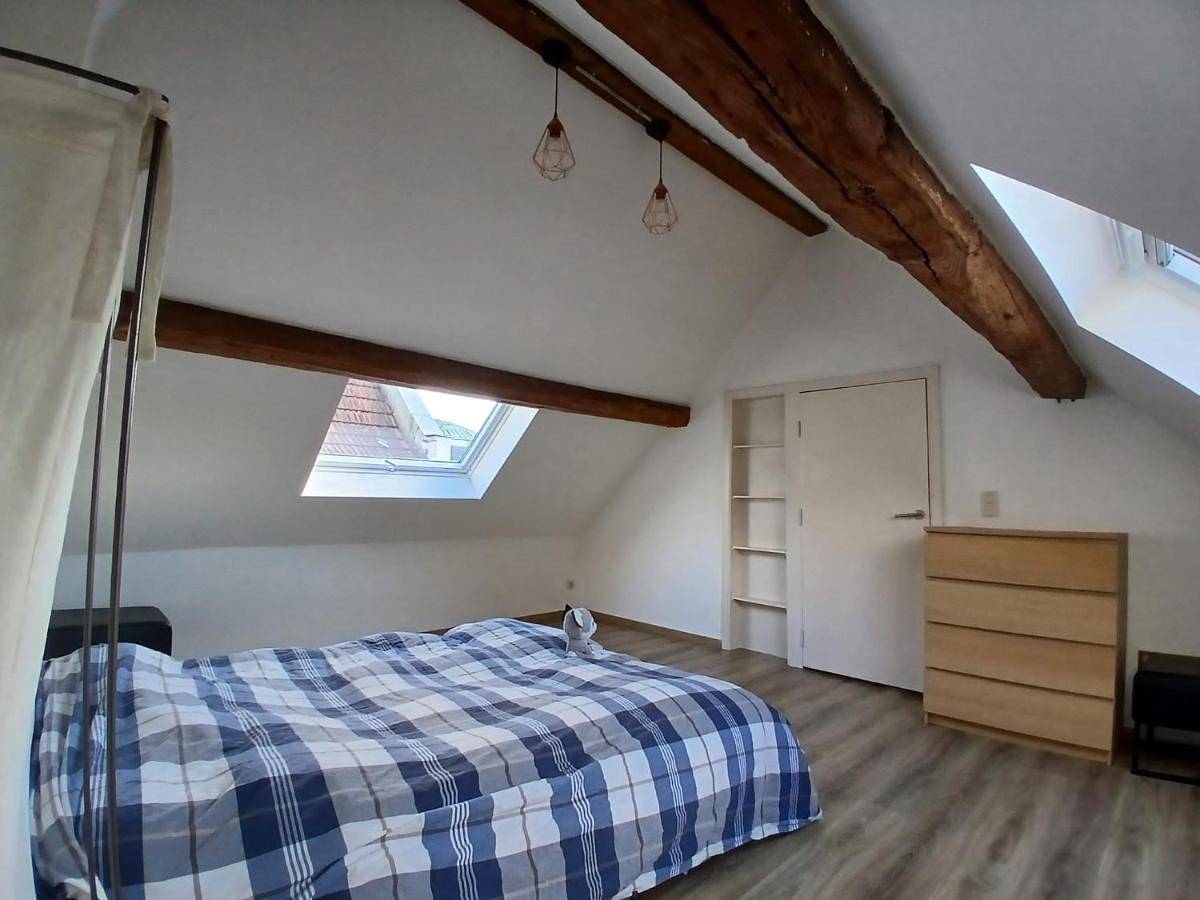 Ganze Ferienwohnung, Cosy homestay in Quiet historic area in Tienen, Flämisch-Brabant