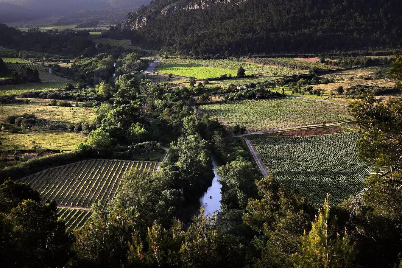 Camping voor 5 Personen in Bize-Minervois, Canal du Midi