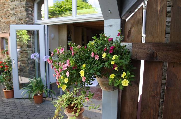 Ferienwohnung für 2 Personen, mit Terrasse und Garten in Neumagen-Dhron - 2
