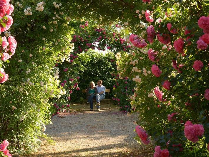 Ferienwohnung für 2 Personen, mit Terrasse und Garten, kinderfreundlich in Deutsche Weinstraße - 4