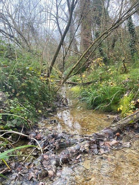 Appartamento intero, Un mulino in pietra tra bosco ripariale e laghetto in Mombaroccio, Valle del Metauro