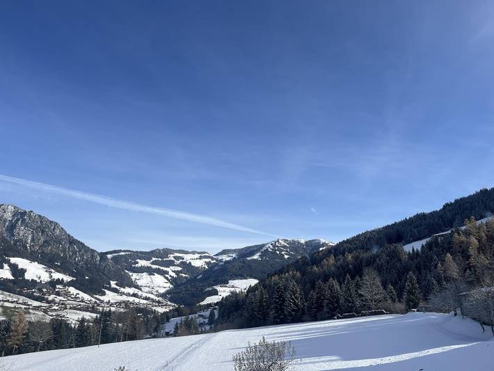 Ferienwohnung für 5 Personen, mit Balkon und Terrasse sowie Garten und Ausblick in Reith im Alpbachtal - 2