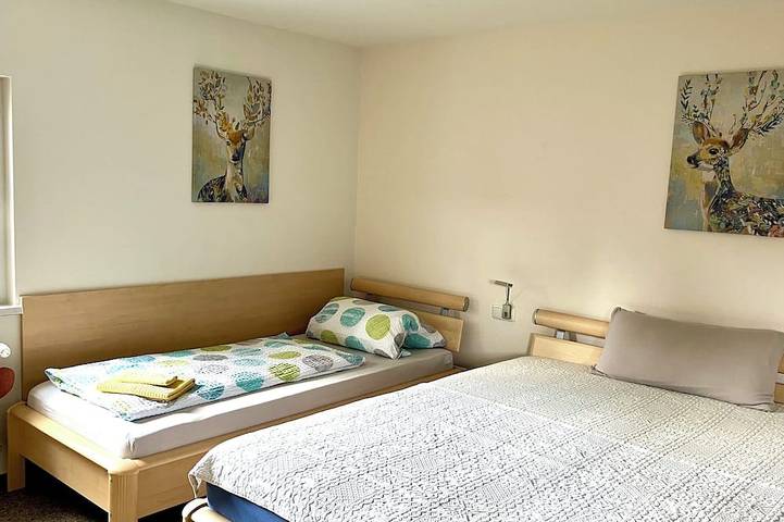 Ganze Wohnung, Gemütliches Studio direkt auf dem Rennsteig ,  mitten im Wald in Allzunah in Frauenwald, Rennsteig