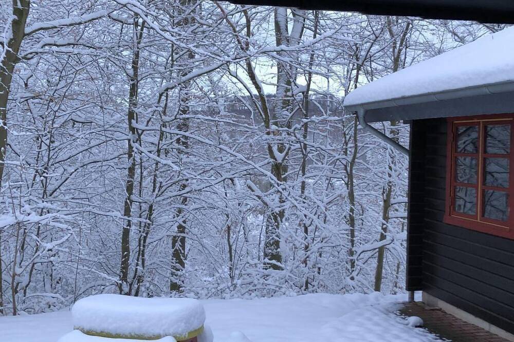 Wunderschönes Ferienhaus am Waldrand in Bad Arolsen, Twistesee