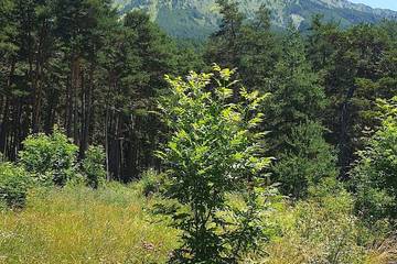 Gîte pour 6 personnes, avec jardin et balcon dans Saint-Jean-Montclar