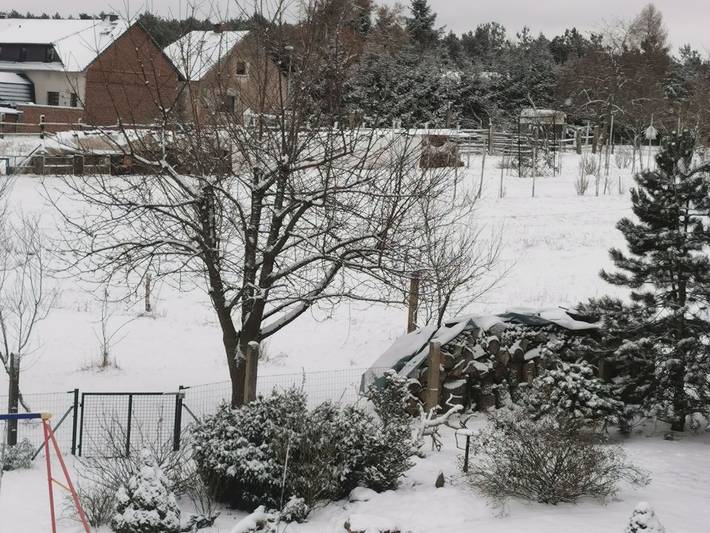 Ferienwohnung für 8 Personen, mit Garten in Schenkendöbern - 3