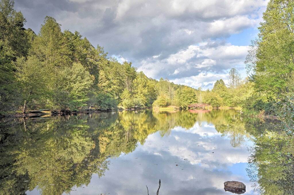 5 Mi to Dtwn Blue Ridge: 'Whitetail Retreat' in Cherry Log, Chattahoochee National Forest