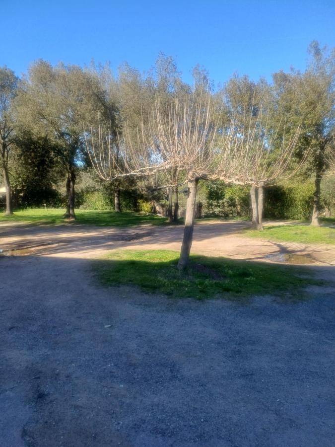 Gîte pour 6 personnes, avec vue et balcon à Moltifao - 2