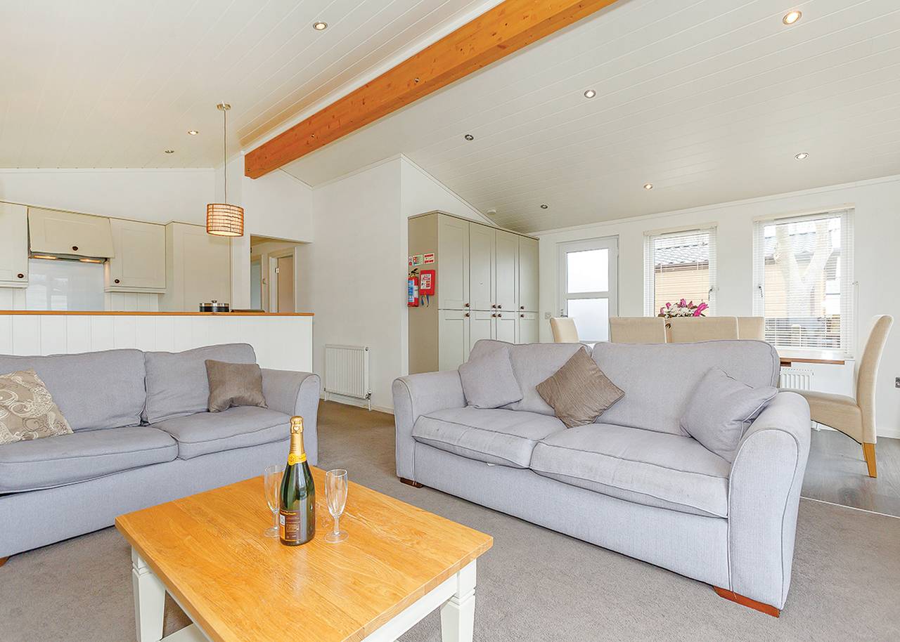 Fir Tree 4 Premier in Flintshire