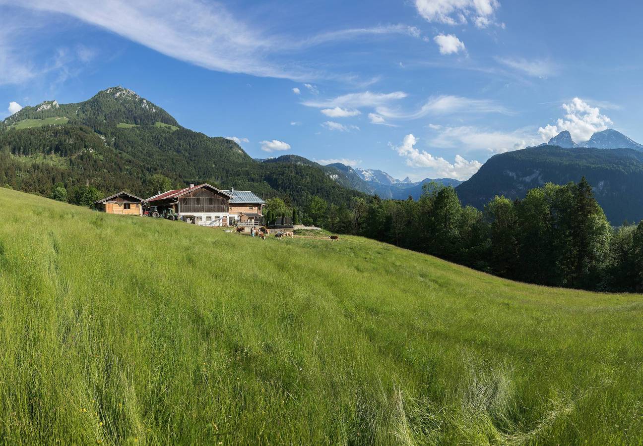 Koppensteinlehen - Ferienwohnung Watzmann für 2 - 3 Personen, 42qm, 1 Schlafzimmer, Südbalkon in Göllstock, Schönau am Königssee