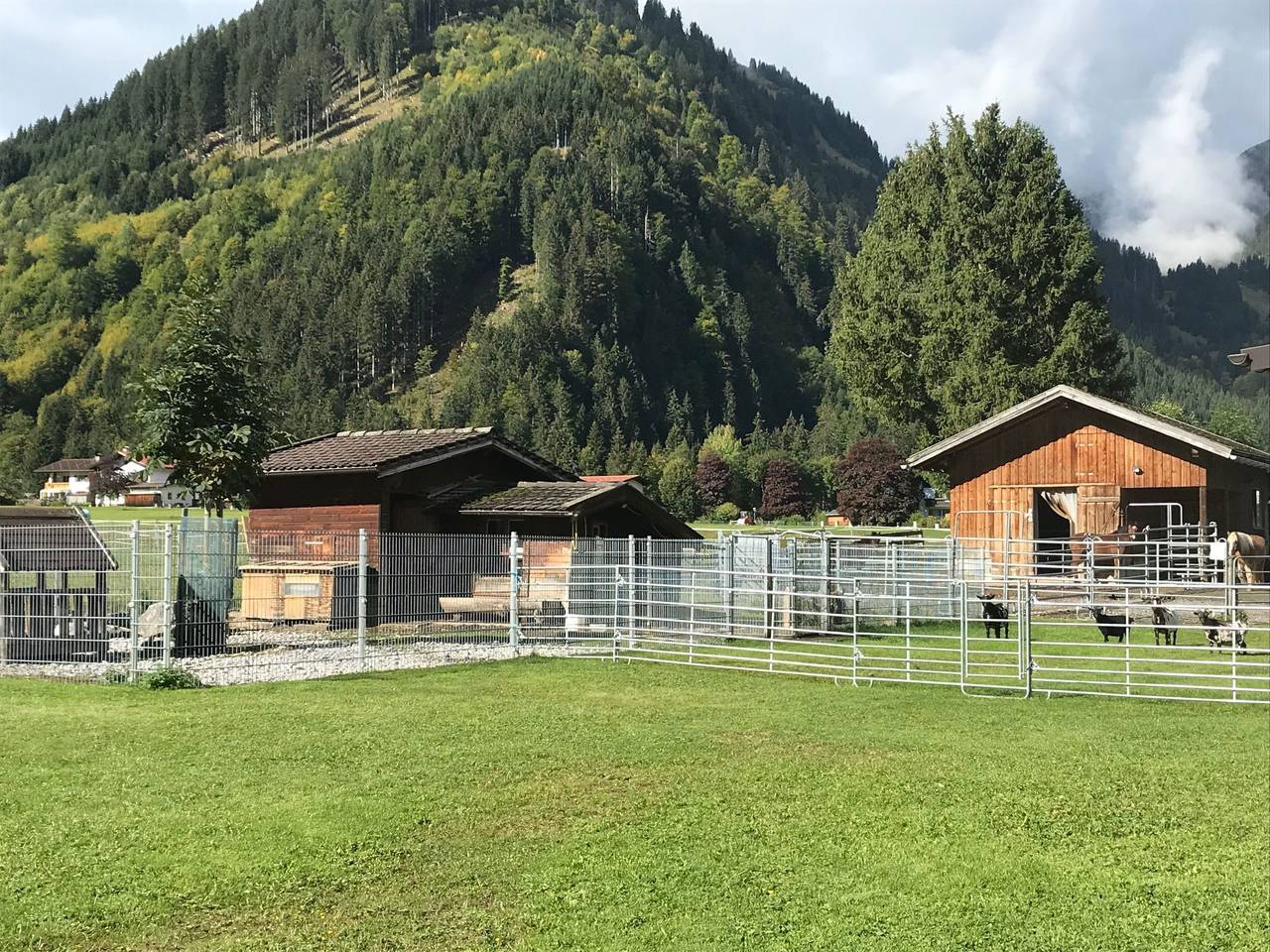 Ganze Wohnung, Pony-Ziegen-Hasen-Ranch in Bichlbach in Lechtaler Alpen, Bichlbach