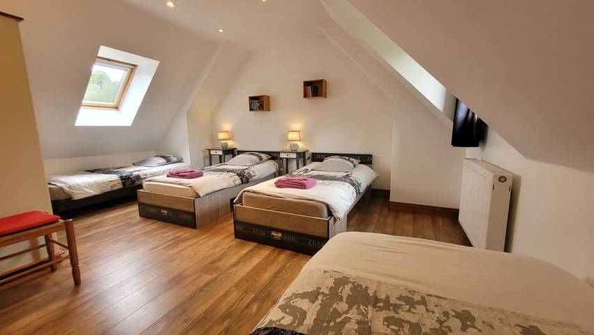 Gîte pour 15 personnes, avec piscine et jardin à Isigny-le-Buat - 4