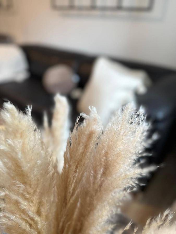 Ferienwohnung für 4 Personen, mit Garten und Ausblick in Bayreuth - 4