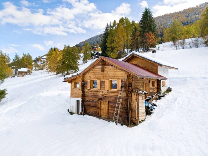 Ferienhaus für 5 Personen, mit Garten in Nendaz - 2