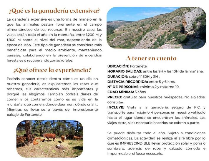 Apartamento de vacaciones para 3 personas, con terraza y vistas en Maestrazgo - 3