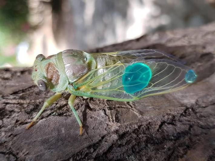 Location de vacances pour 4 personnes, avec jardin ainsi que vue et piscine, adapté aux familles à Cheval-Blanc - 3