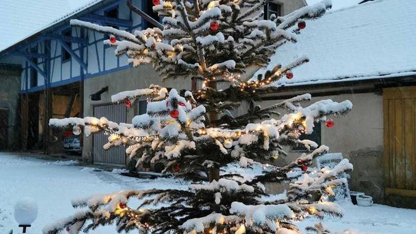 Ferienwohnung für 4 Personen, mit Garten, mit Haustier in Hohenlohe - 3