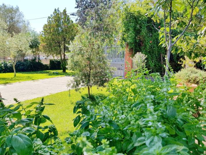 Location de vacances pour 4 personnes, avec jardin et vue à Pedara - 4