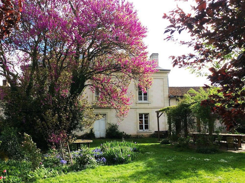Tenue du Fougeray - Chambre verte in Sammarçolles, Vienne (France)