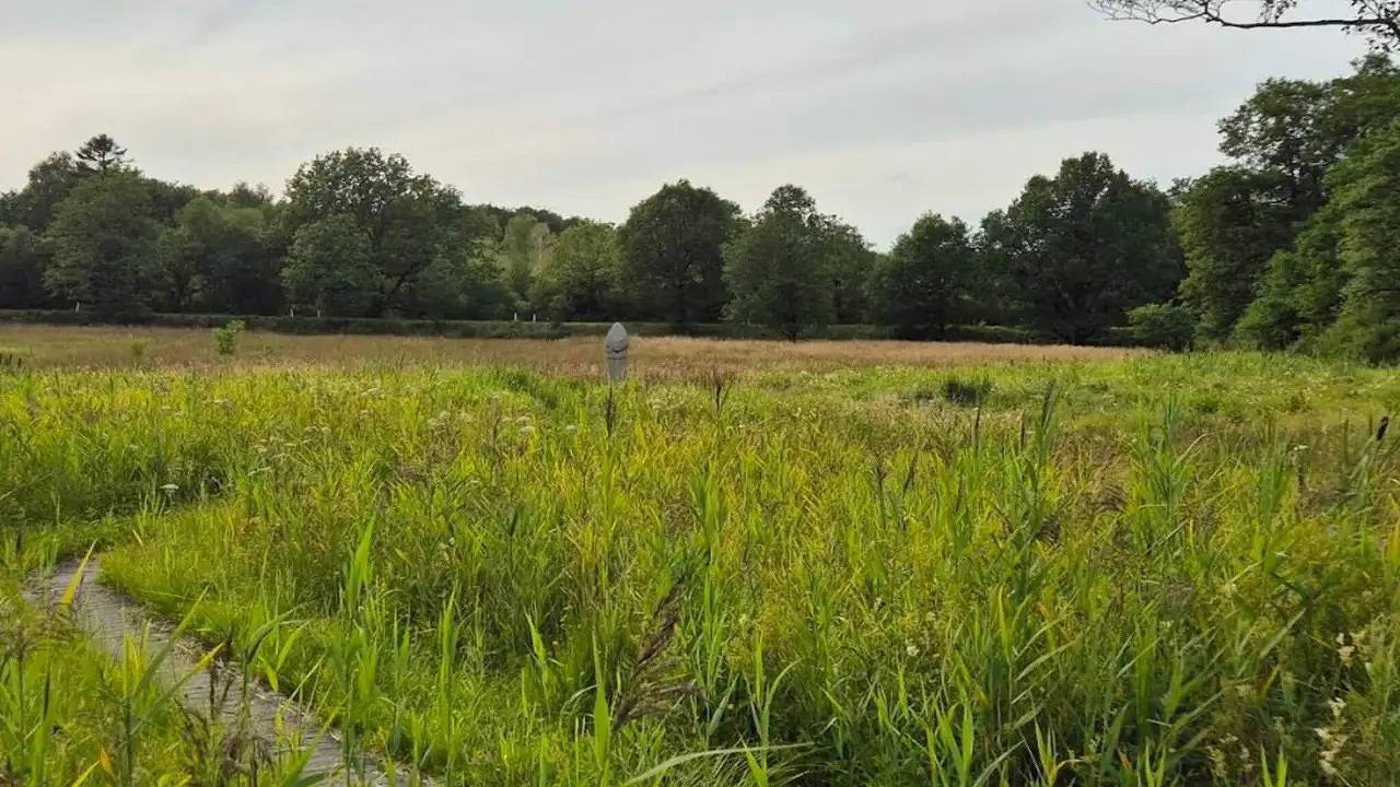 Feriehus for 5 personer med terrasse in Hovborg, Vejen