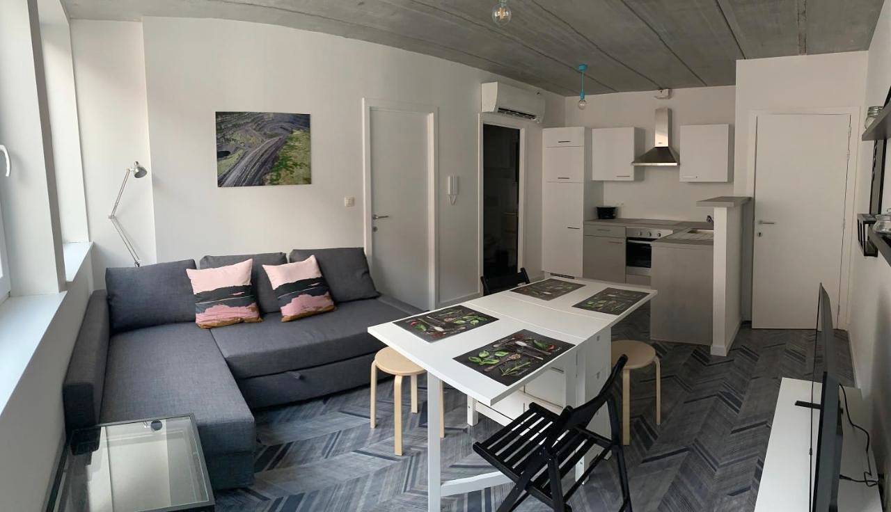 Appartement entier, One-Bedroom Apartment in Tournai, Hainaut