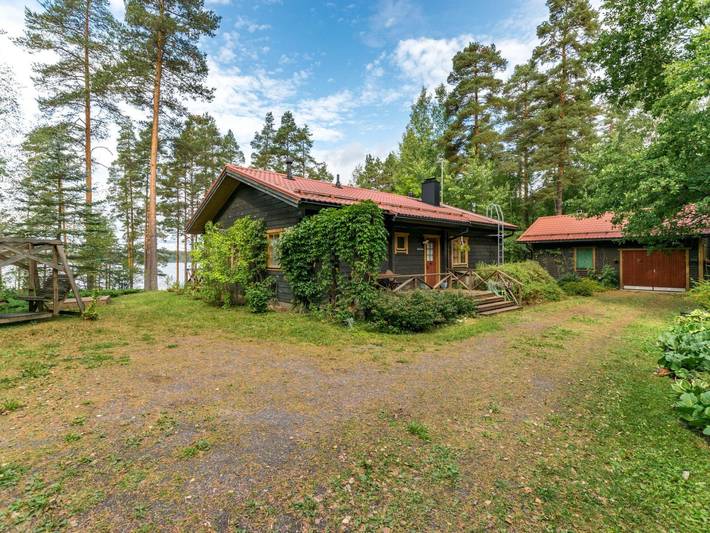 Metsä-iivari in Lohja, Uusimaa