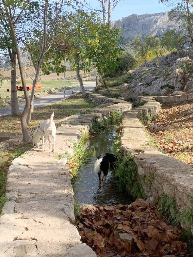 Location de vacances pour 9 personnes, avec terrasse, animaux acceptés à Cuevas del Becerro - 3