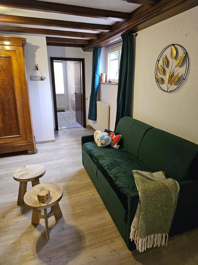 Appartement entier, La Parenthèse Kaysersberg in Kaysersberg, Parc naturel régional des Ballons des Vosges